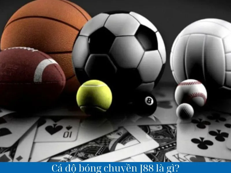 Cá độ bóng chuyền J88 là gì?