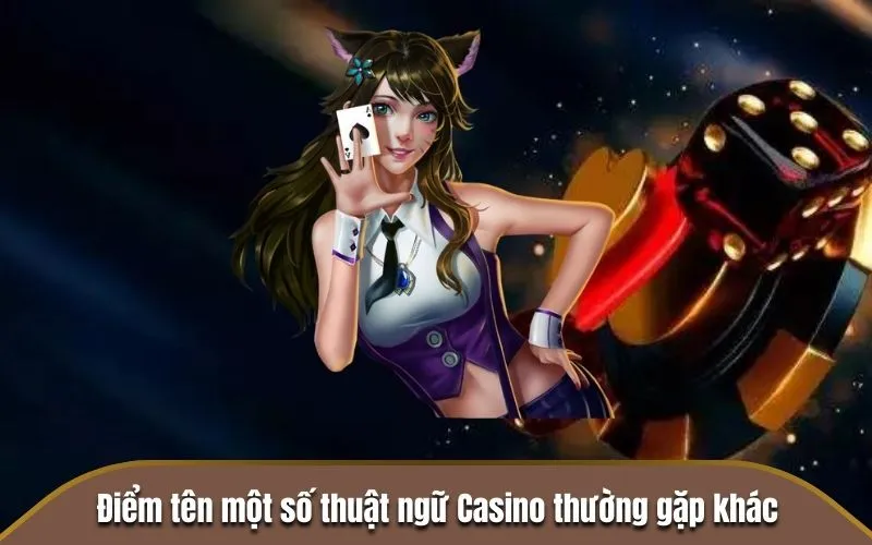 Điểm tên một số thuật ngữ Casino thường gặp khác